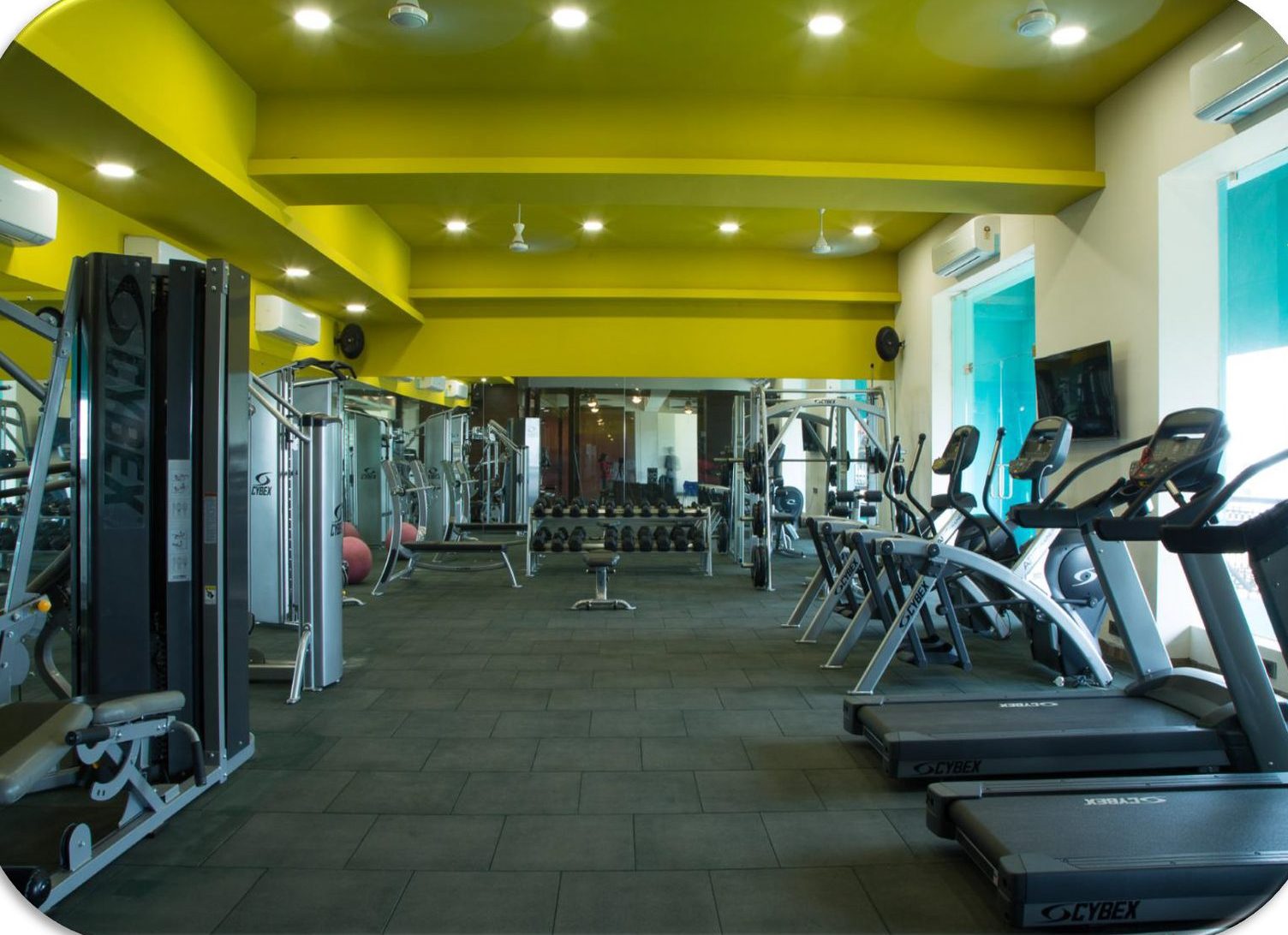 World-class gym
